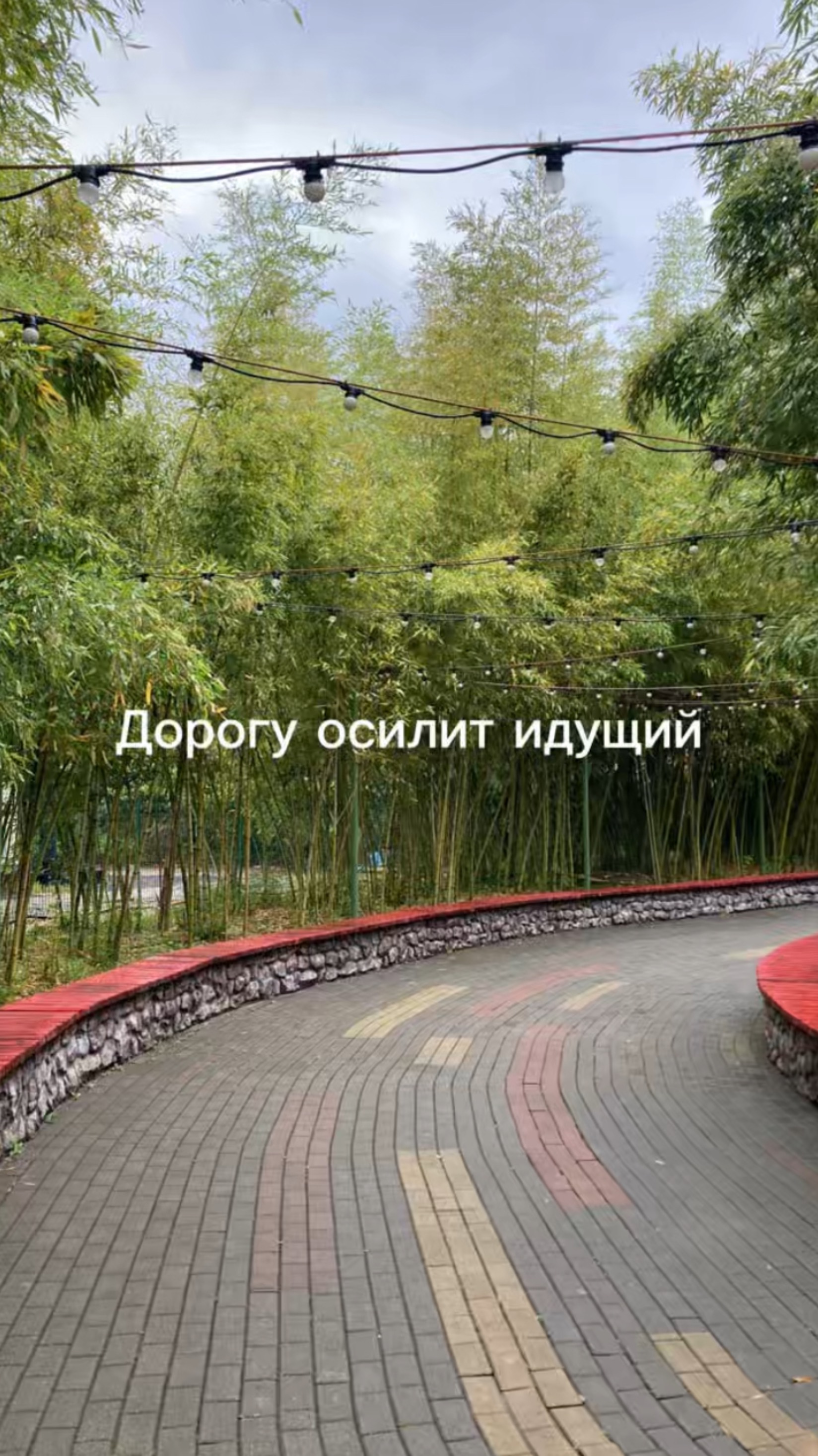 Дорогу осилит идущий