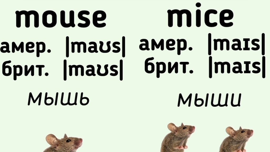 Irregular plural nouns👉mouse, goose