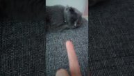 2 часть влог с Алисой 😍😍😍😍😍