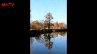 Микашевичи Осень 2015 MikTV
