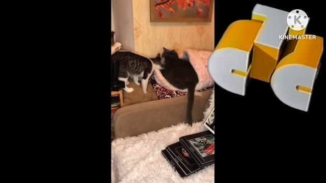 CLUB STARS RYTP «ПЕРЕЗАЛИВ».mp4 (читайте описание)