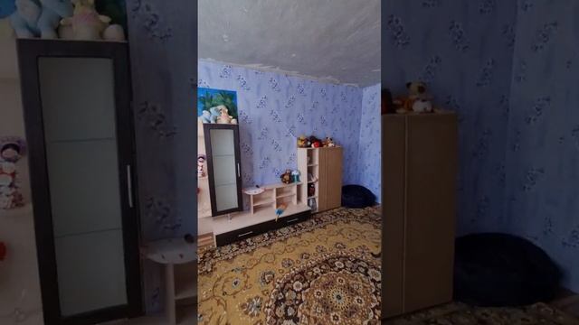 Продается дом с.Погромец