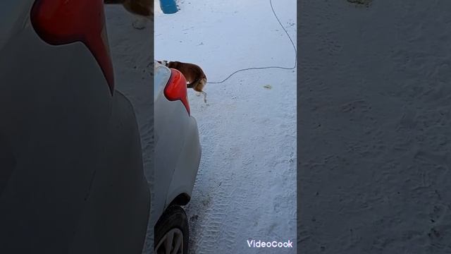 тихий вечер