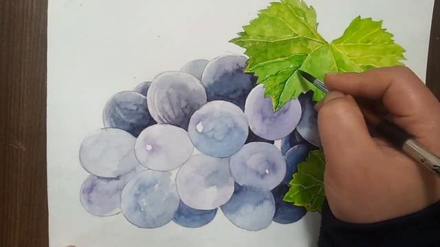 포도 그리기 포도 기초디자인 채색 완결판 how to draw a grape