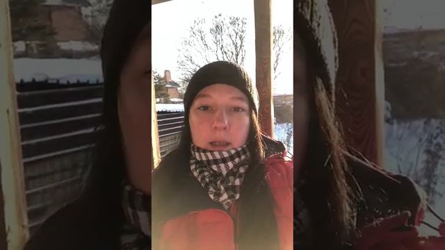 Отзыв о годовой программе. Ольга Шейдарова