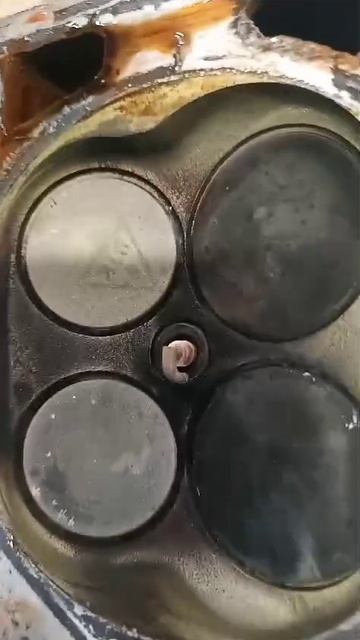 1000034443.mp4