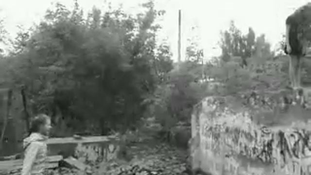 Очень страшное кино...