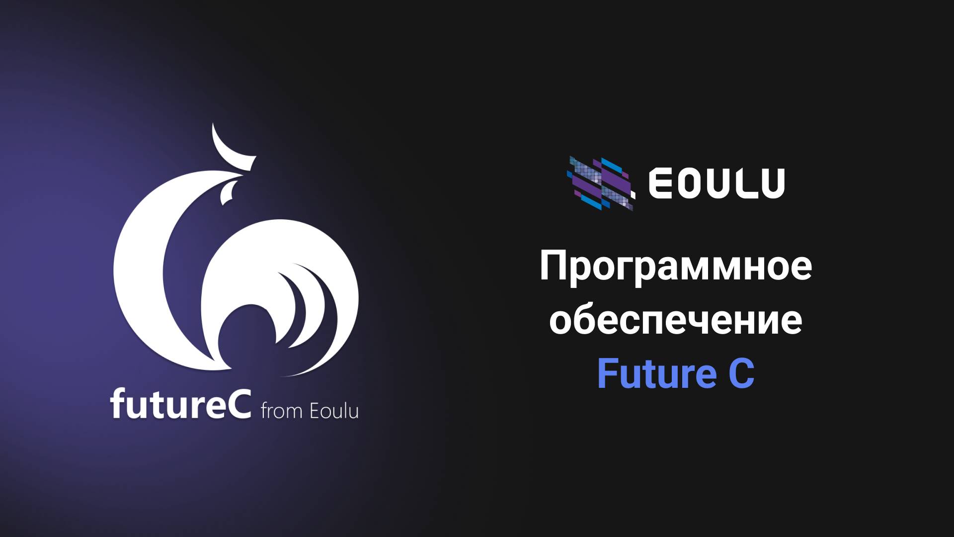 Future C_программное обеспечение