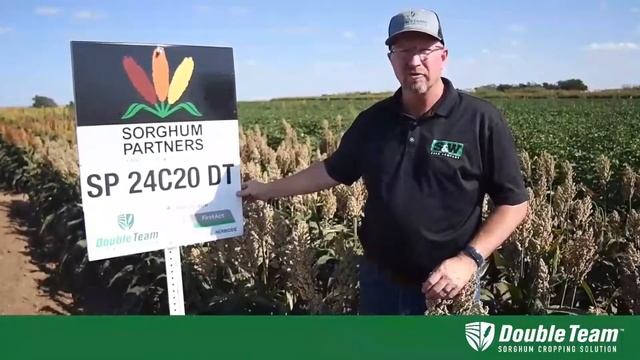 Product Video  SP 24C20 DT