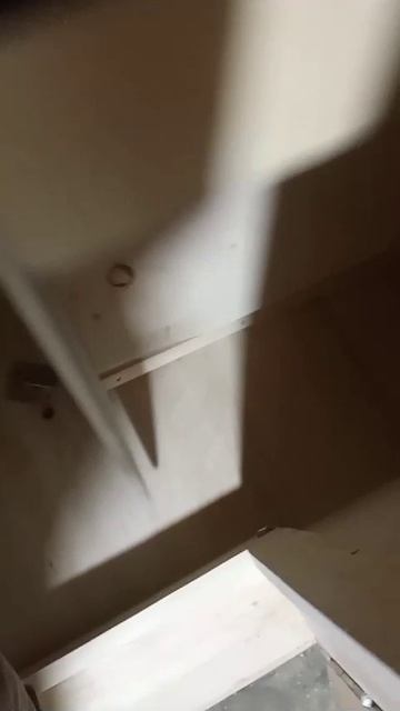 VID-20250220-WA0052