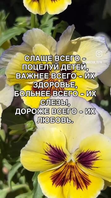 Самое дорогое