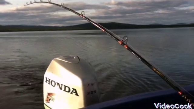 VideoCook_20250220_135301031.mp4