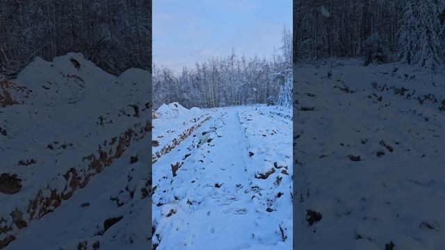 1000267632.mp4