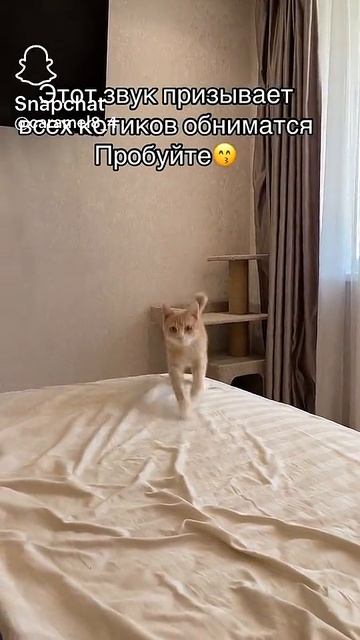 Пробуйте😆