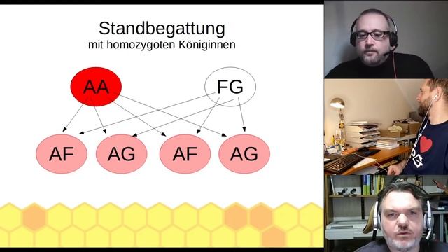 Königinnenzucht für Anfänger