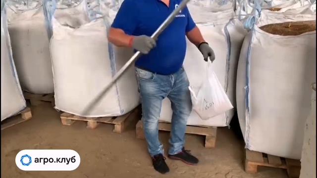Отбор проб зерна в Брянской области