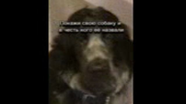 1739096998533.3gp