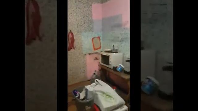 Первое видео внутри дома