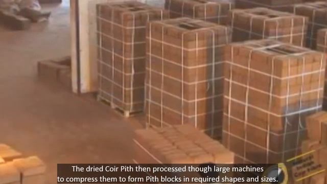 Coir PIth