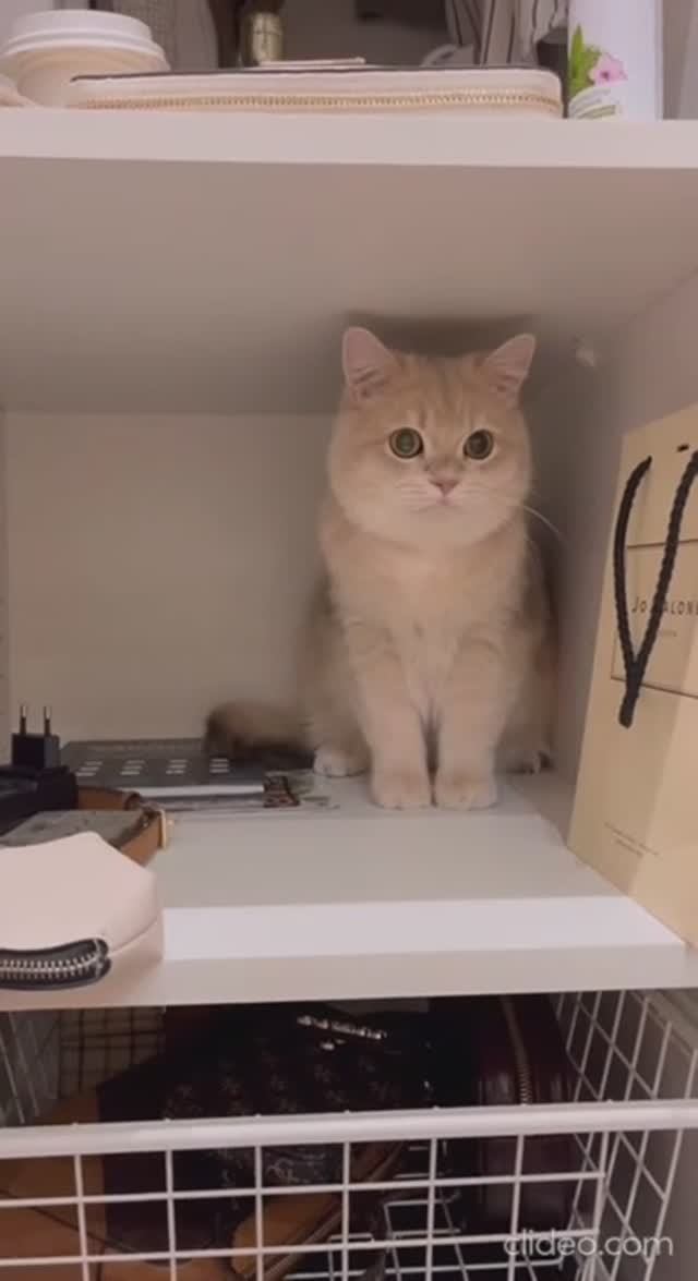 Dont want to study