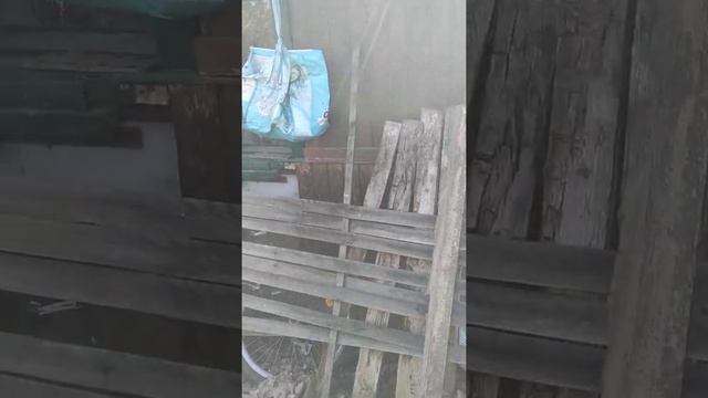 дача в германии 1