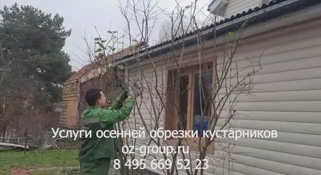 Услуги осенней обрезки кустарников на даче. Выезд Агрономов по Москве и области. Звоните сейчас!