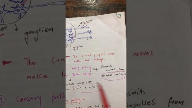 10th class biology chapter 12 lecture 5