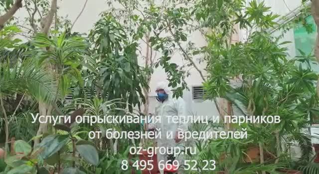 Услуги опрыскивания теплиц и парников от болезней и вредителей. Выезд Агрономов по Москве и обл.