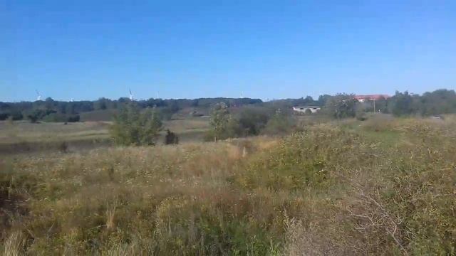 Палдиски. Петровские горы 1.