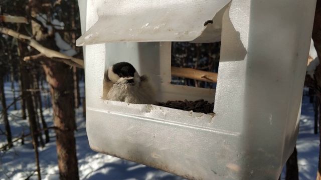 И поспать и покушать :)