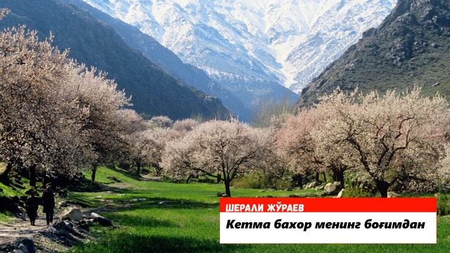 Кетма бахор  Шерали Жўраев  80 йиллар хитлари