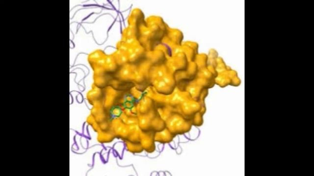 Here Are The Top Candidates For Natural Trichomoniasis Treatments mp3