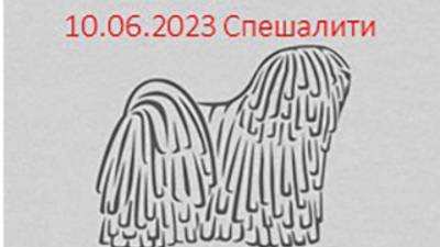 Россия 2023-1. 10.06.2023 Ринг спешалити. Кобель класс ветеранов