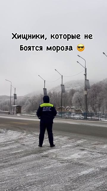 ХИШНИКИ КОТОРЫЕ НЕ БОЯТСЯ МОРОЗА
