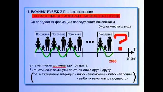 Петров ч.4