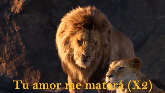 Your Love Will Kill Me - Scar y Sarabi (2019)