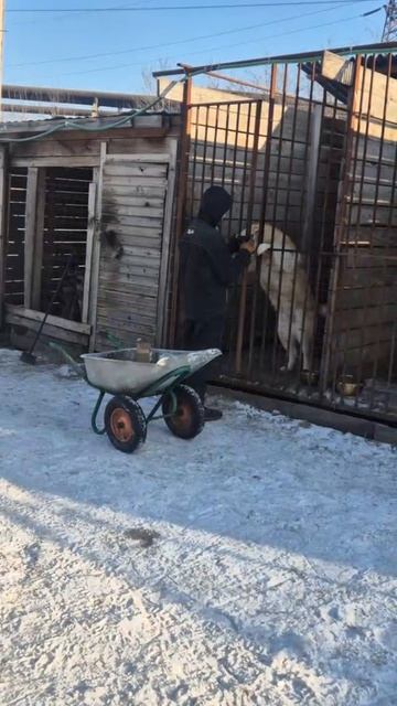 Спасибо Артем