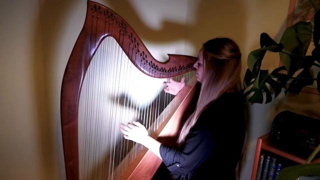 Simply the Best - Tina Turner (Harp Cover)