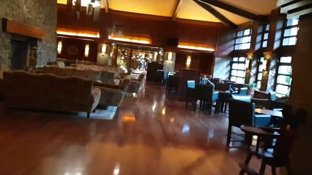Disney Golden Forest Club & Lounge - Sequoia Lodge, Disneyland Paris (DLP)