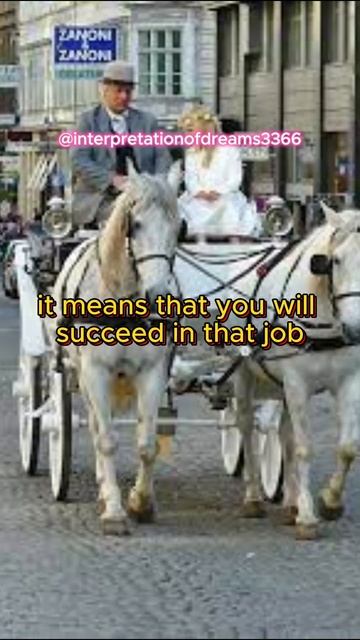 WHAT DOES IT MEAN TO SEE A PHAETON IN A DREAM?/PHAETON İN DREAM/İNTERPRETATİON OF DREAMS