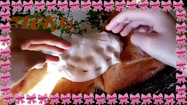 СЛАЙМ ЧЕРНИКА ~Можно съесть?