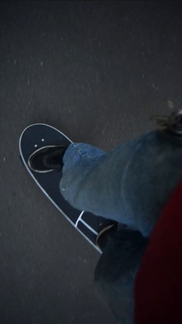 surfskate