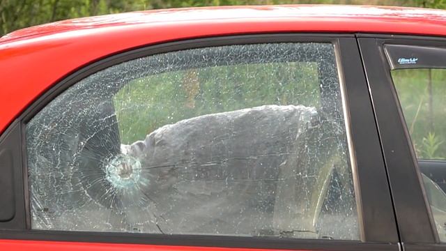 GUN VS CAR - HOW IS MY CAR AFTER ALL THE EXPERIMENTS?!