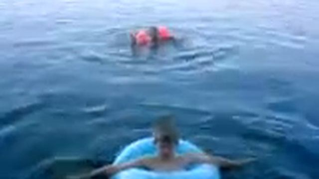 Утренние уроки плавания)))