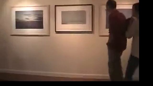 Salamander Gallery (February 08)
