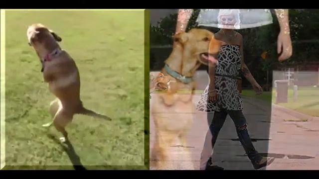 10 Самых Шокирующих Мутаций у Животных