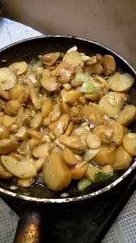 жареная картошка с кабачками и укропом 👌