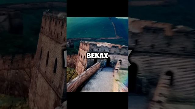 Цива, она такая #civilization6 #firaxis #shorts