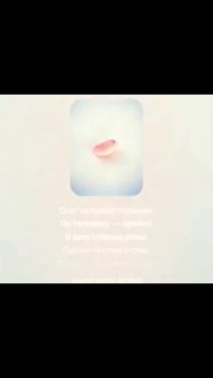 27 января 2025 г.