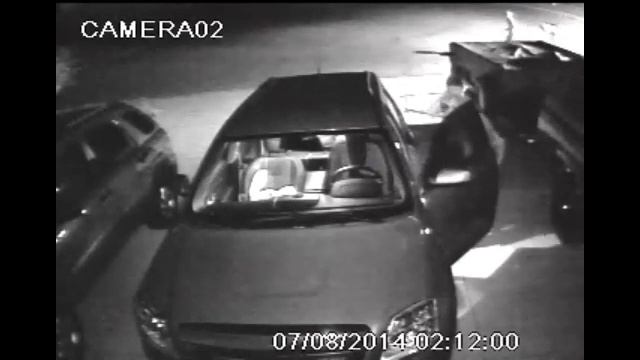 TIC TAC Bandits on Q-see Security cameras